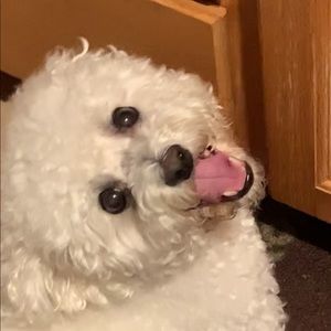 Meet your Posher, Alexis